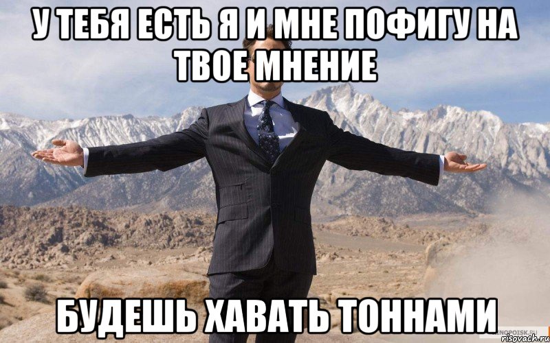 У тебя есть я и мне пофигу на твое мнение будешь хавать тоннами, Мем железный человек