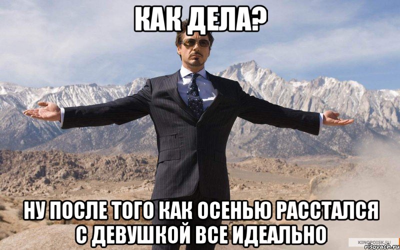 Как дела? Ну после того как осенью расстался с девушкой все идеально, Мем железный человек