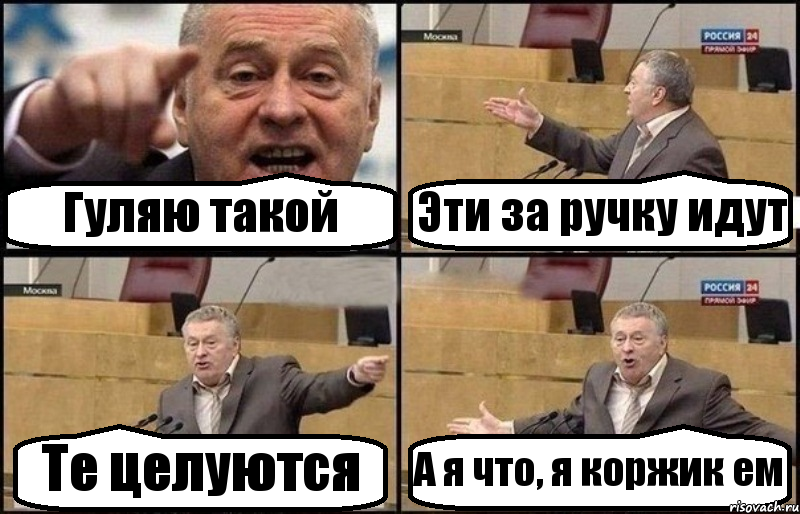 Гуляю такой Эти за ручку идут Те целуются А я что, я коржик ем, Комикс Жириновский