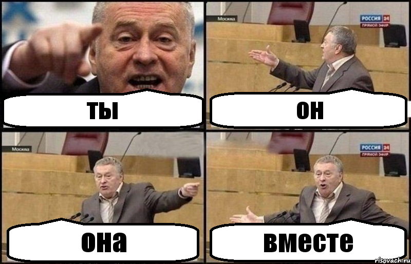 ты он она вместе, Комикс Жириновский