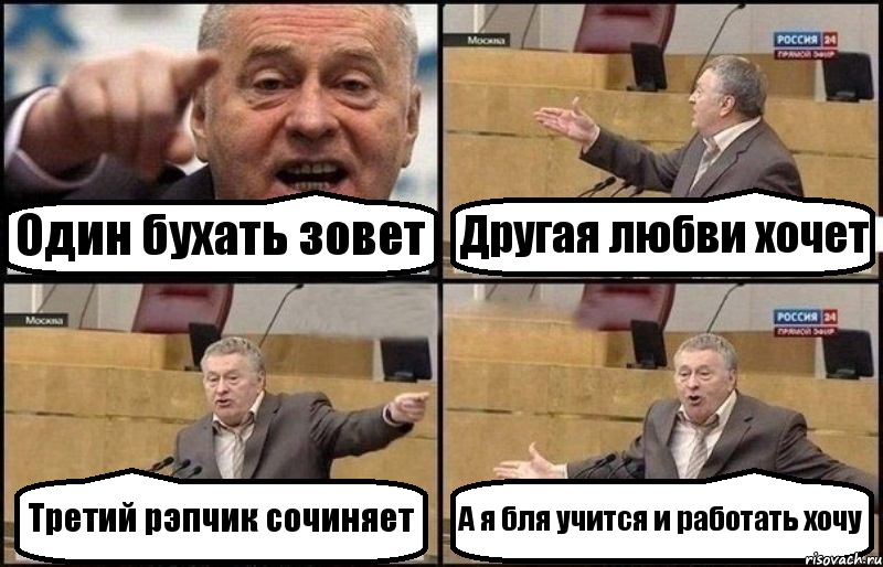 Один бухать зовет Другая любви хочет Третий рэпчик сочиняет А я бля учится и работать хочу, Комикс Жириновский