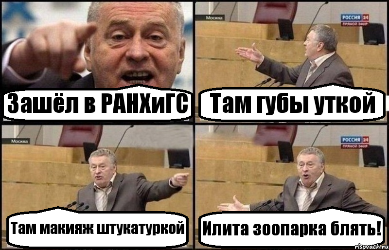 Зашёл в РАНХиГС Там губы уткой Там макияж штукатуркой Илита зоопарка блять!, Комикс Жириновский