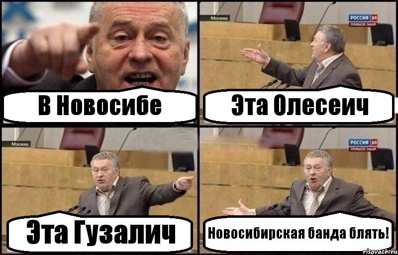 В Новосибе Эта Олесеич Эта Гузалич Новосибирская банда блять!, Комикс Жириновский