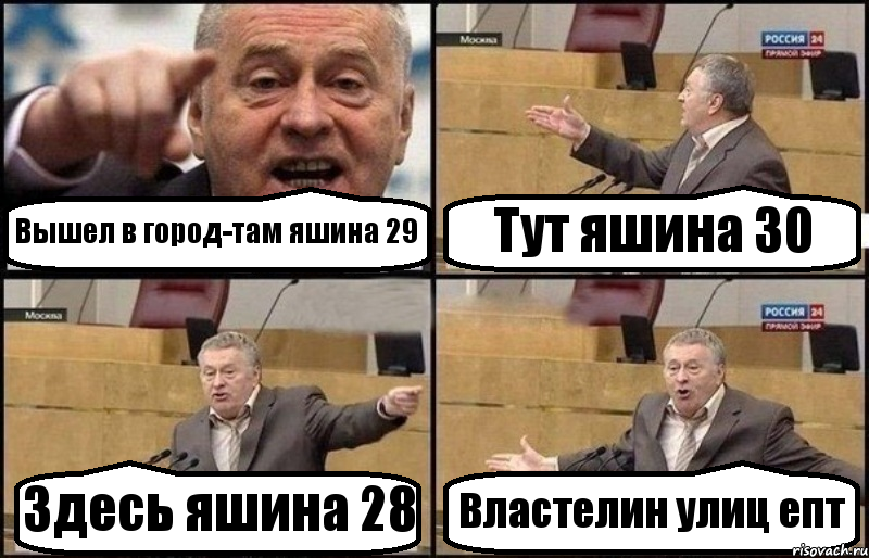 Вышел в город-там яшина 29 Тут яшина 30 Здесь яшина 28 Властелин улиц епт, Комикс Жириновский