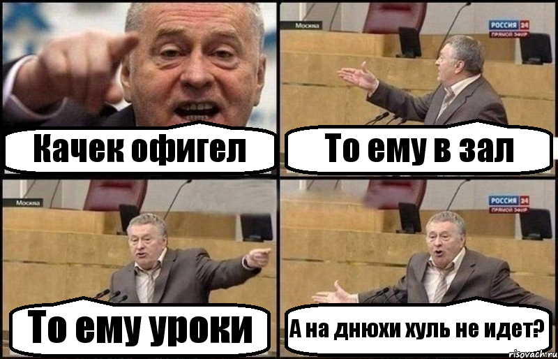 Качек офигел То ему в зал То ему уроки А на днюхи хуль не идет?, Комикс Жириновский