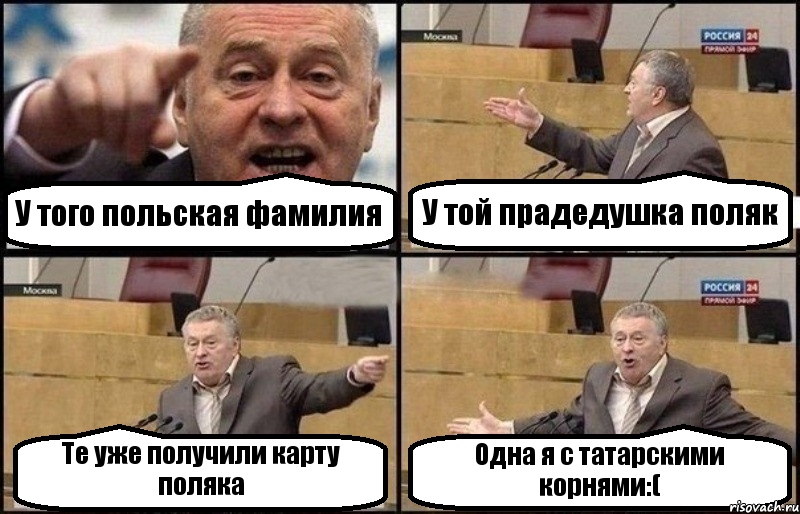 У того польская фамилия У той прадедушка поляк Те уже получили карту поляка Одна я с татарскими корнями:(, Комикс Жириновский