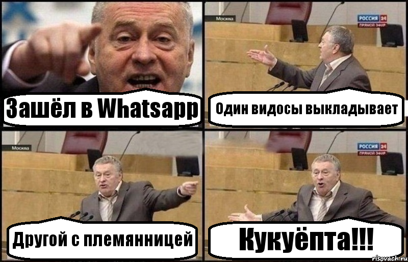 Зашёл в Whatsapp Один видосы выкладывает Другой с племянницей Кукуёпта!!!, Комикс Жириновский