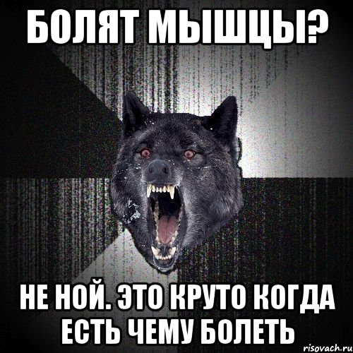 Болят мышцы? Не ной. Это круто когда есть чему болеть, Мем  Злобный волк