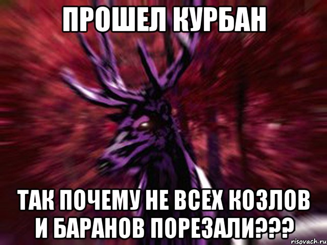 Прошел Курбан Так почему не всех козлов и баранов порезали???, Мем ЗЛОЙ ОЛЕНЬ