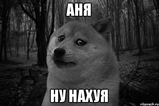 АНЯ НУ НАХУЯ, Мем 1