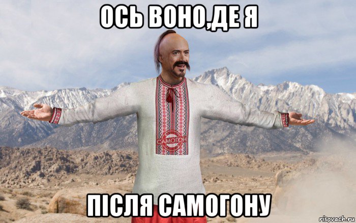 ось воно,де я після самогону, Мем 5