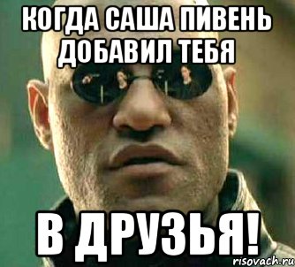 когда Саша Пивень добавил тебя в друзья!, Мем  а что если я скажу тебе