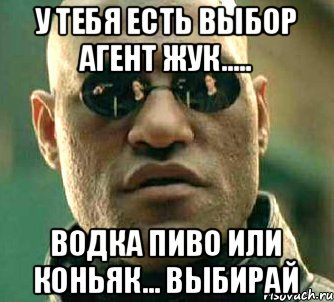 у тебя есть выбор агент Жук..... Водка Пиво или Коньяк... Выбирай, Мем  а что если я скажу тебе