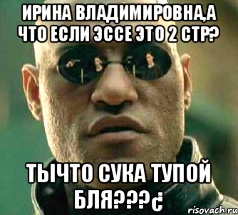 Ирина владимировна,а что если эссе это 2 стр? тычто сука тупой бля???¿, Мем  а что если я скажу тебе