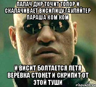 Палач днр точит топор и скалачивает висилицу.гауляйтер параша ком ком И висит болтается петя верёвка стонет и скрипит от этой туши, Мем  а что если я скажу тебе