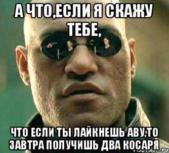 А что,если я скажу тебе, Что если ты лайкнешь аву,то завтра получишь два косаря, Мем  а что если я скажу тебе