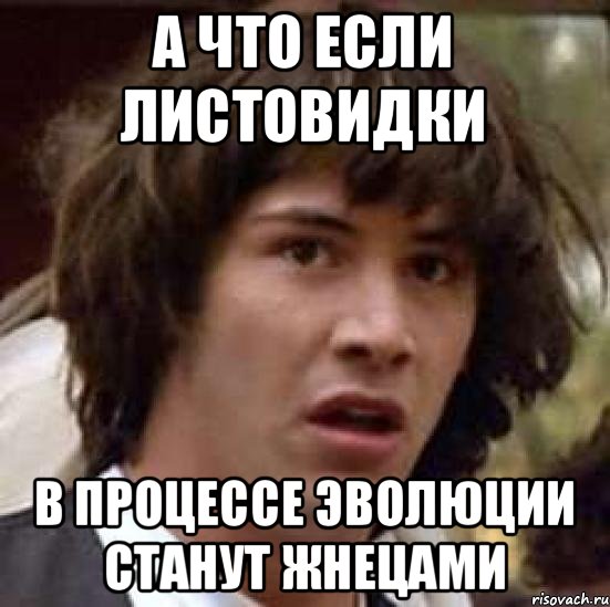 А что если листовидки в процессе эволюции станут жнецами, Мем А что если (Киану Ривз)