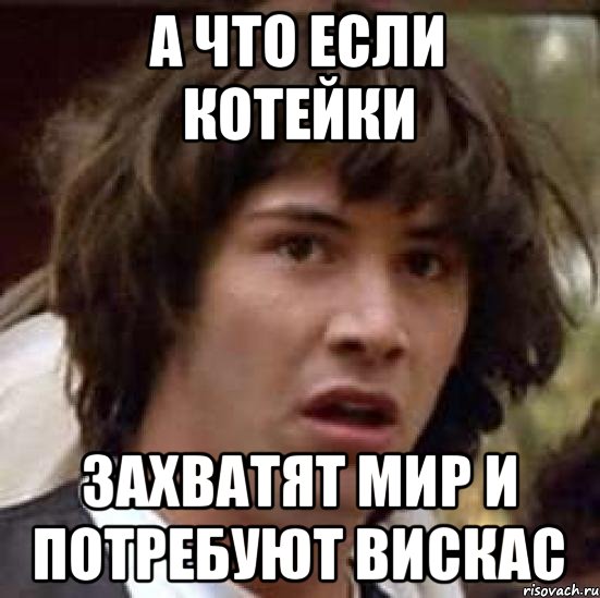 А что если котейки Захватят мир и потребуют вискас, Мем А что если (Киану Ривз)