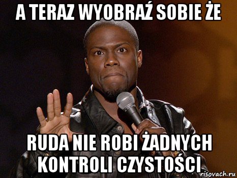 a teraz wyobraź sobie że ruda nie robi żadnych kontroli czystości, Мем  А теперь представь