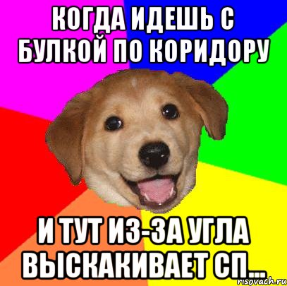 Когда идешь с булкой по коридору И тут из-за угла выскакивает СП..., Мем Advice Dog