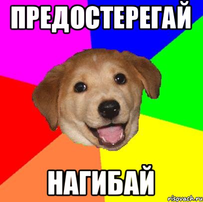 Предостерегай Нагибай, Мем Advice Dog