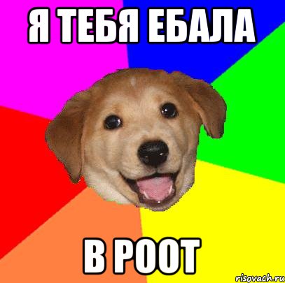 я тебя ебала в роот, Мем Advice Dog