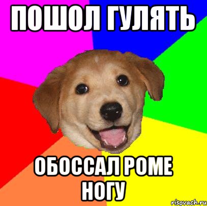 пошол гулять обоссал роме ногу, Мем Advice Dog