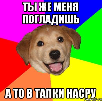 Ты же меня погладишь А то в тапки насру, Мем Advice Dog