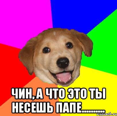  Чин, а что это ты несешь папе.........., Мем Advice Dog