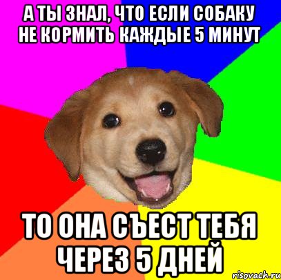 А ты знал, что если собаку не кормить каждые 5 минут То она съест тебя через 5 дней, Мем Advice Dog