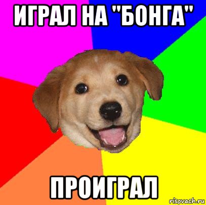 Играл на "бонга" проиграл, Мем Advice Dog