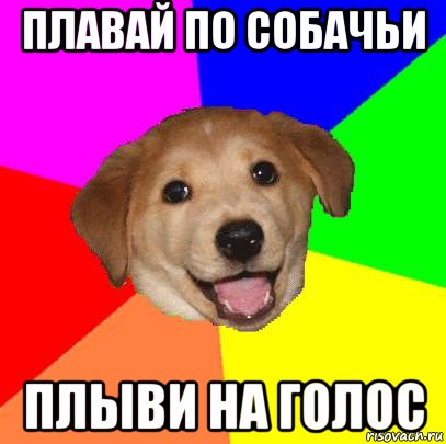 плавай по собачьи плыви на голос, Мем Advice Dog