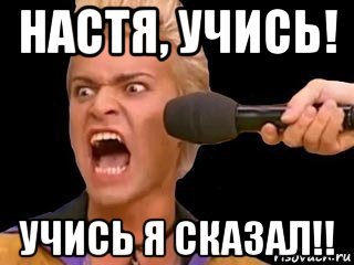 настя, учись! учись я сказал!!, Мем Адвокат