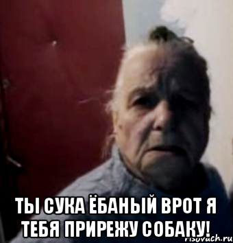  ТЫ СУКА ЁБАНЫЙ ВРОТ Я ТЕБЯ ПРИРЕЖУ СОБАКУ!