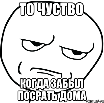 ТО ЧУСТВО КОГДА ЗАБЫЛ ПОСРАТЬ ДОМА, Мем Are you f cking kidding me