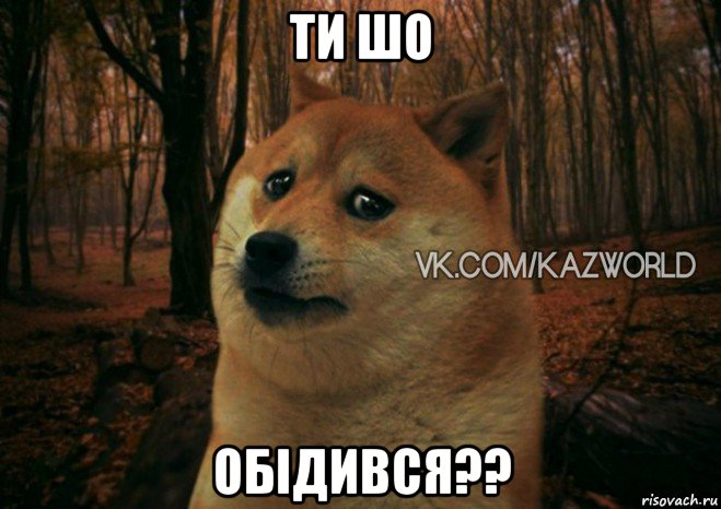 ти шо обідився??, Мем Asd