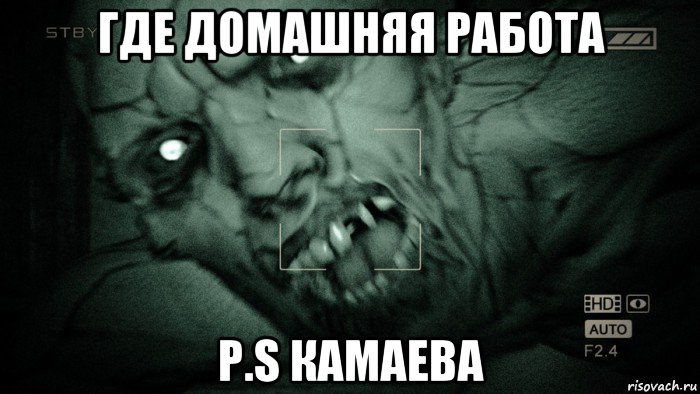 где домашняя работа p.s камаева