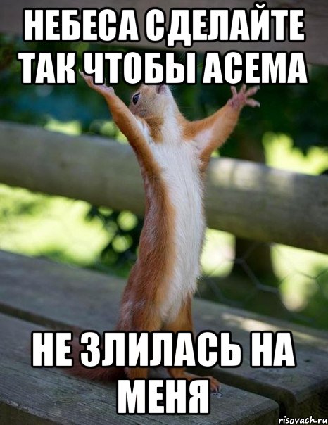 Небеса сделайте так чтобы Асема Не злилась на меня, Мем    белка молится
