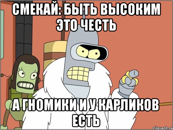 Смекай: быть высоким это честь а гномики и у карликов есть, Мем Бендер