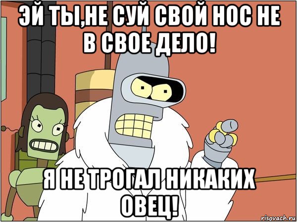 эй ты,не суй свой нос не в свое дело! я не трогал никаких овец!, Мем Бендер