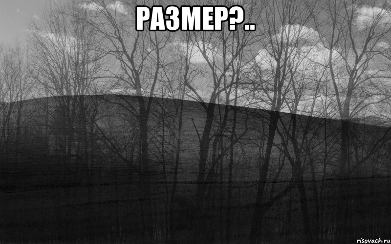 размер?.. , Мем безысходность лес