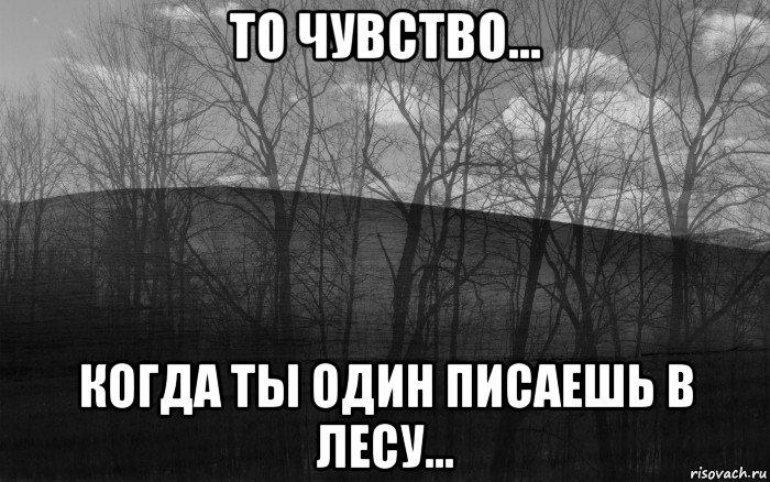 то чувство... когда ты один писаешь в лесу..., Мем безысходность лес