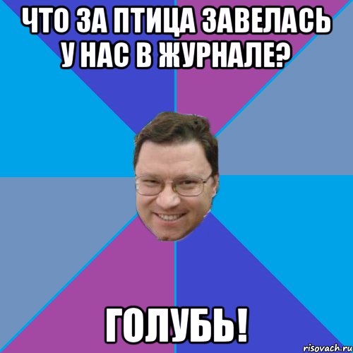 ЧТО ЗА ПТИЦА ЗАВЕЛАСЬ У НАС В ЖУРНАЛЕ? ГОЛУБЬ!