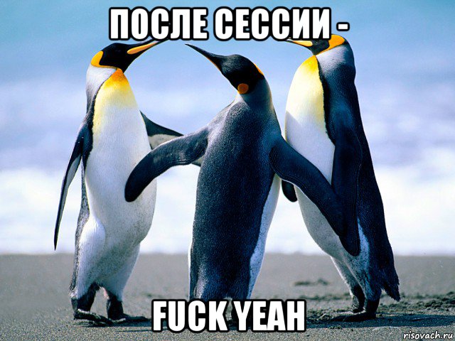 после сессии - fuck yeah
