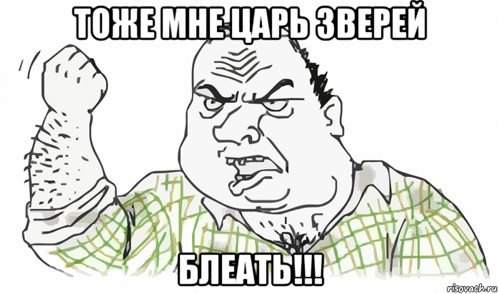 тоже мне царь зверей блеать!!!, Мем Будь мужиком