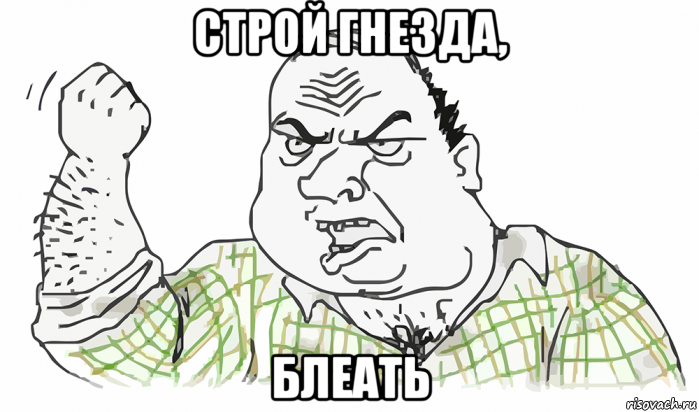 строй гнезда, блеать, Мем Будь мужиком