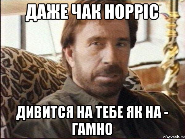 даже чак норріс дивится на тебе як на - гамно, Мем чак норрис