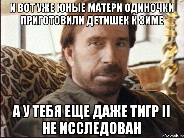 и вот уже юные матери одиночки приготовили детишек к зиме а у тебя еще даже тигр II не исследован, Мем чак норрис