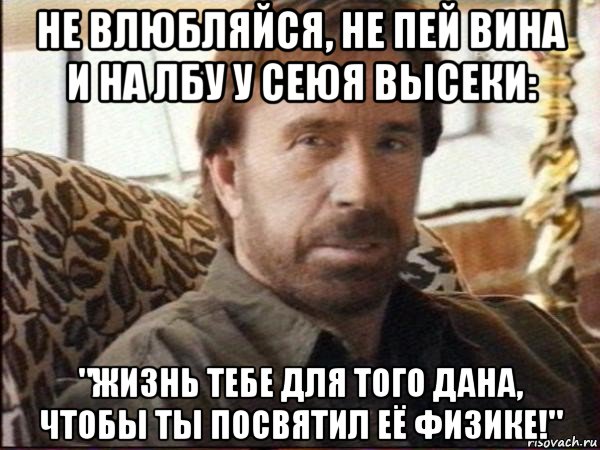 не влюбляйся, не пей вина и на лбу у сеюя высеки: "жизнь тебе для того дана, чтобы ты посвятил её физике!", Мем чак норрис