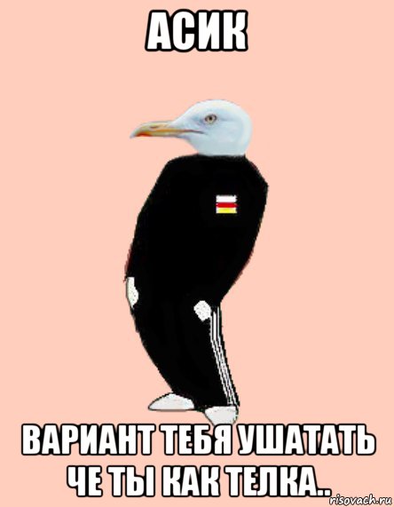 Асик Вариант тебя ушатать че ты как телка..